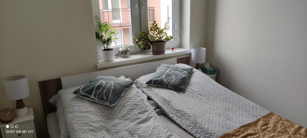Apartament W Spokojnej Lokalizacji Cieplewo Екстер'єр фото